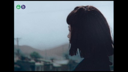 Nel film "Generazione romantica" 20 anni di trasformazioni della Cina