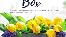 Upcycled Mailbox Into DIY Planter Box
