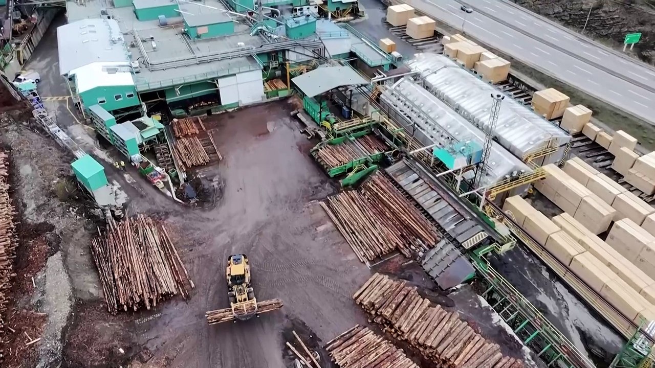 How a Canadian softwood lumber company is grappling with US tariffs