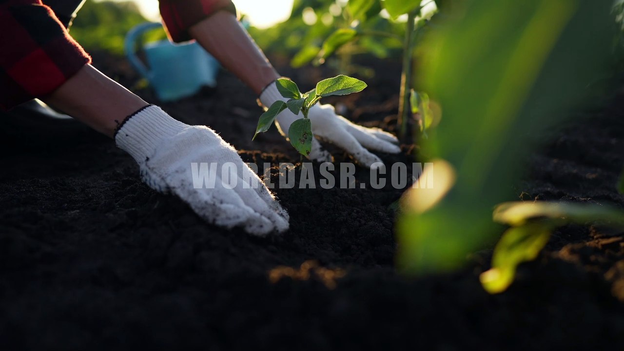 Earth Day Premium Stock Footages - Preview - Worldasr.com