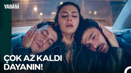 Affedilmek İçin İlla Ölümden Mi Dönmemiz Lazımdı Asi Kız? - Yabani