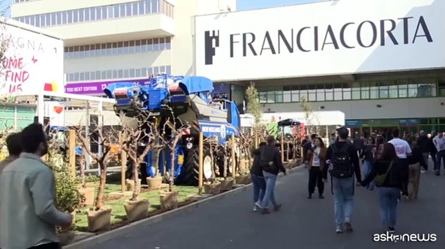 Vinitaly, la Regione Lazio protagonista nella kermesse di Verona