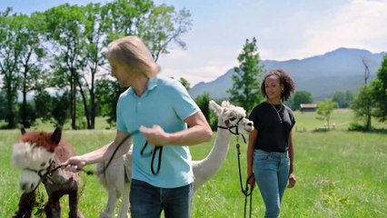 Una passeggiata con gli alpaca per Micheal e Nicole - Clip puntata 19.03.2025
