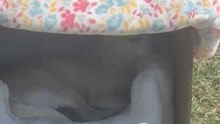 Sterta śmieci porzucona przy ulicy. Sąsiedzi nie wierzą własnym oczom, kiedy widzą, co wyrzucono