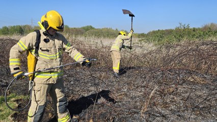 Grass fires across Merseyside increase by a 600% in 12 months