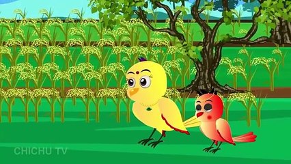 गरीब की ईद _ Maa Chidiya ki Kahani Kartun _ Tuntuni chidiya  wala Cartoon _ Hindi Kahani _ Chichu TV(360P)_1