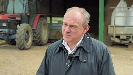 Ed Davey says UK steel industry must be protected