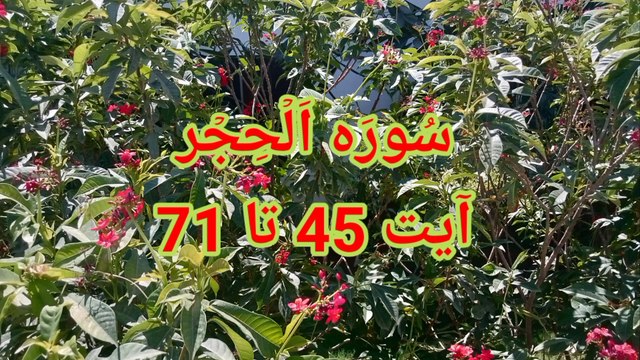 Surat ul hijr | Quran pak ki Tilawat | Quran tajweed | Recitation of Quran | Quran teaching |