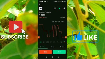 Anuroop Packaging Share Price