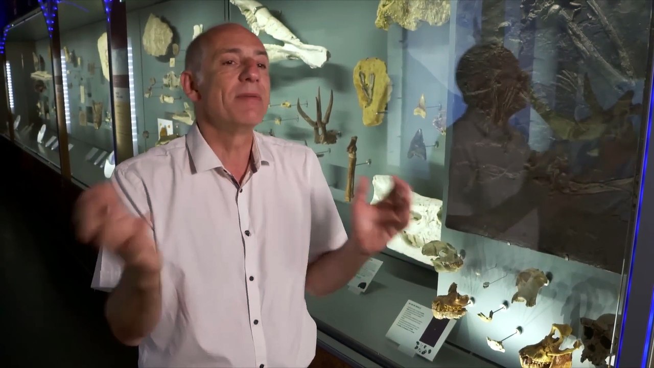 Sur les traces de nos ancêtres en Namibie – Documentaire Origines Humanité - BL