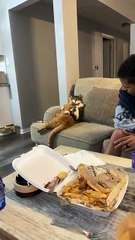 Quiero vivir su vida... está bien