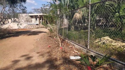 Animaya - Mérida - Yucatán - 4K - Parte 3