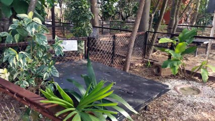 Animaya - Mérida - Yucatán - 4K - Parte 4