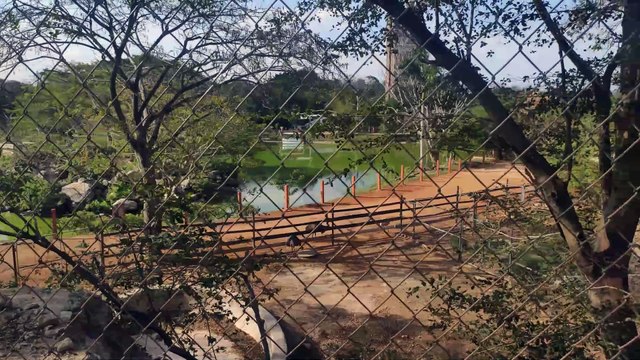 Animaya - Mérida - Yucatán - 4K - Parte 5