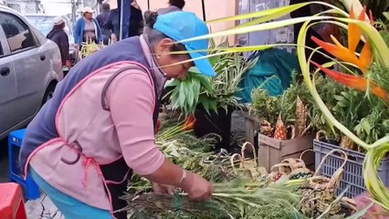 Ecuador elige presidente en Domingo de Ramos y bajo estado de excepción