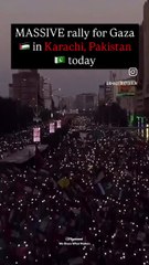 Hard worker team vloggers palastine raily