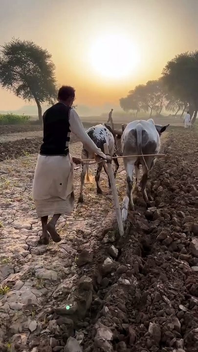 All types New motivation clips