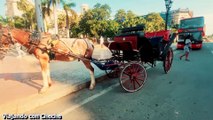 Paseo en Coche de Caballo por La Habana | Viaje a la Cuba Colonial