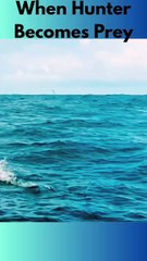 The Fish Motivational Status Life is very ShortYou believe me #motivationalvideo