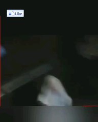 O MY GOD real ghost in jungle capture in camra