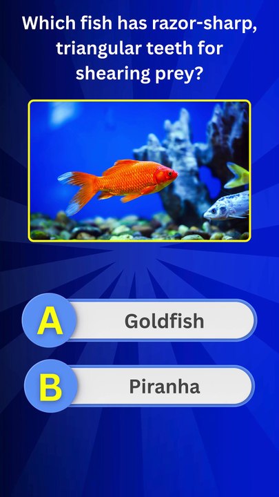 Deadly Fish Quiz 🐟🦈 | Can You Guess These Ocean Predators?
