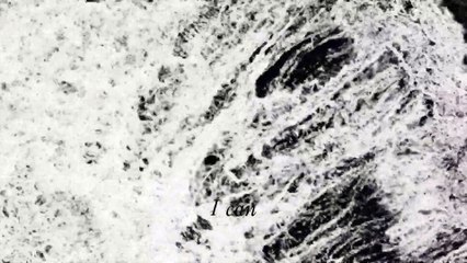 Morgu - Parhelion (Official Lyric Video)