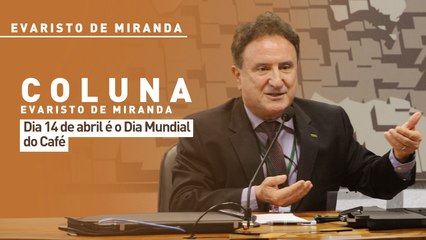 Dia 14 de abril é o Dia Mundial do Café