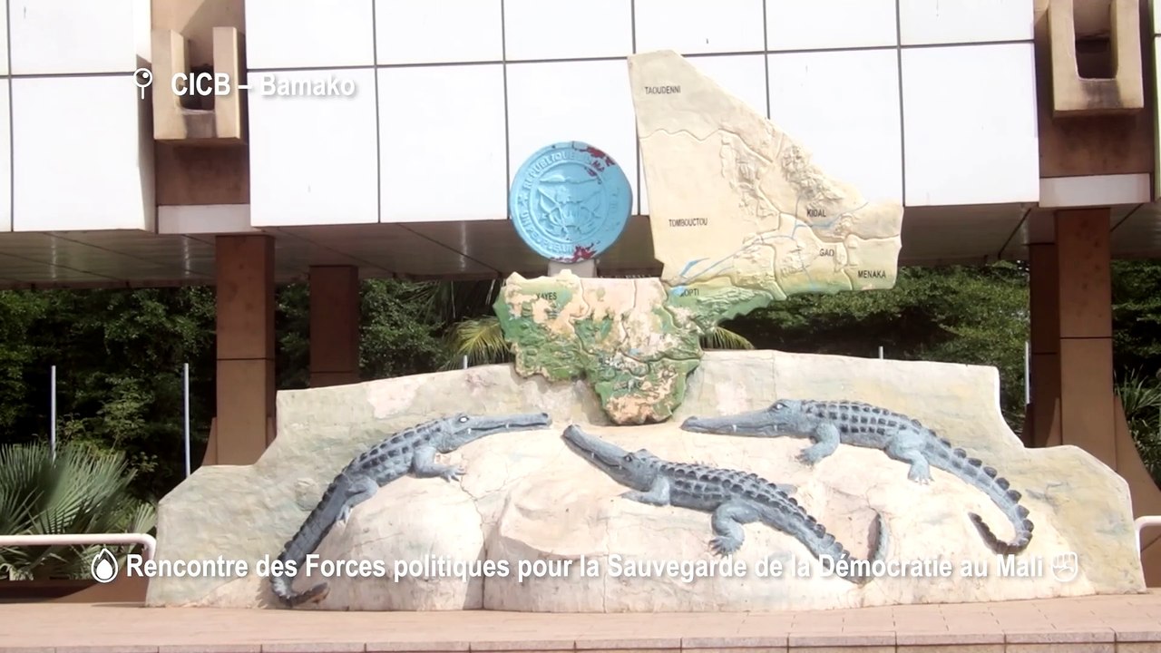 🔥 NOUHOUM TOGO s’exprime en Bambara : “On ne peut pas tuer la démocratie au Mali !” ✊🏾⚖️