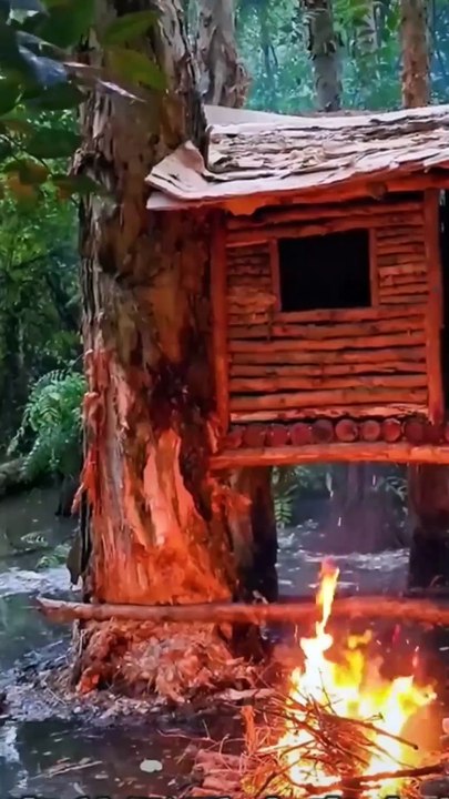 Amazing 😍🤩 House Made Solo  Survival