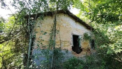 SOZINHO NA MATA, ENCONTREI CASAS GROTESCAS E CAVERNOSAS ESCONDIDAS