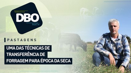 Uma das técnicas de transferência de forragem para época da seca