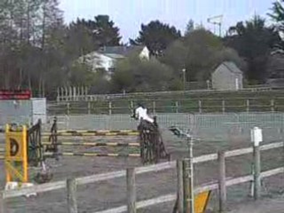 Népheline du Reuil D1p champ de Bretagne 2008