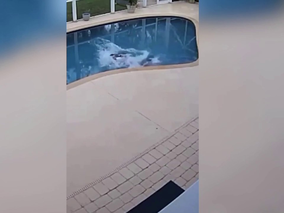 Funny videos | Funny fails| you laughing
