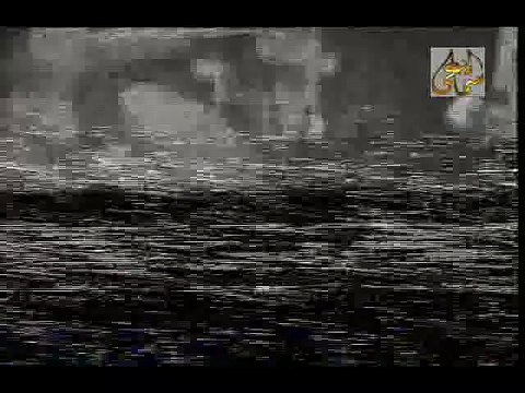 حفله عش انت للموسيقار الازمان فريد الاطرش بواسطه سوزان مصطفي