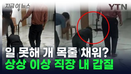 사람에 목줄 채워 질질... 황당한 회사 문화에 '분노' [지금이뉴스] / YTN
