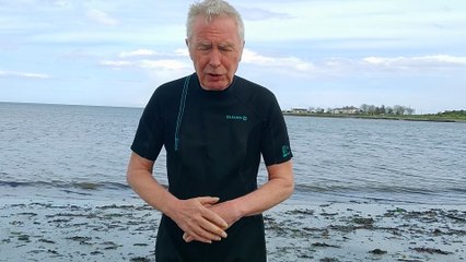 VID20250413150803 Wild or Open Water swimming in Quintin Bay in Northern Ireland