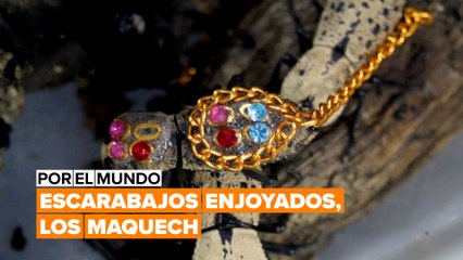 Los escarabajos enjoyados de México que se usan como broches, ¿es maltrato o es cultura?