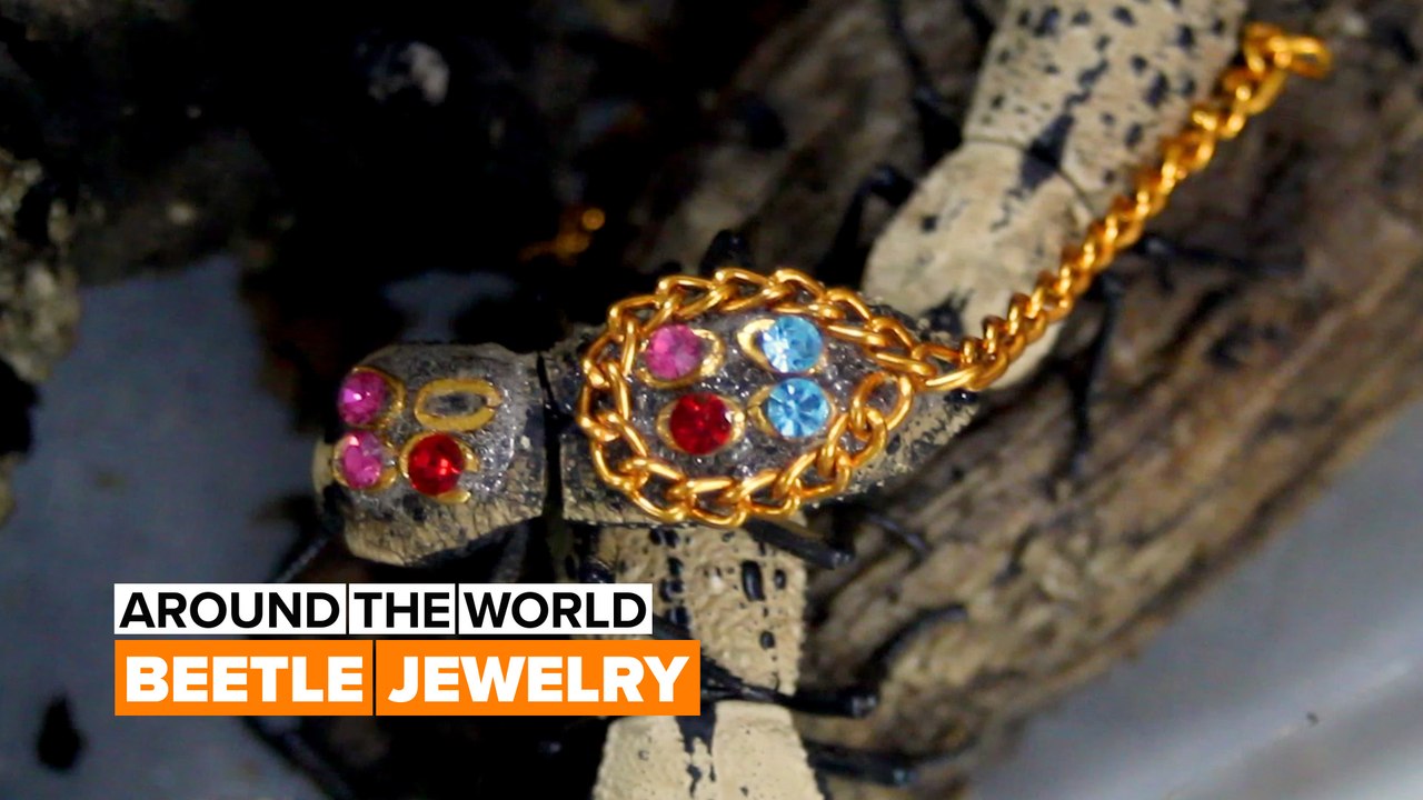 Mexico's controversial roach brooch: is it animal abuse?