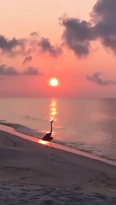 Aa Chal k Tujhe Mai Le K Chaloon Ek Aesy Gagan K Taly... Nice and Beautiful Song | All-Time Favourite Melodies