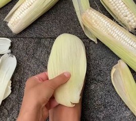 Walk on Nature! DIY Plant-Based Footwear!