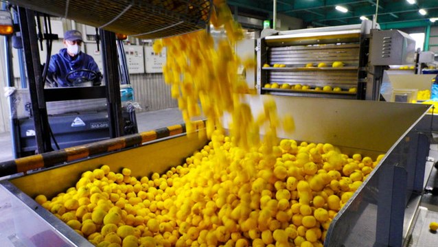 The demand for this expensive Japanese fruit is skyrocketing. Here's what makes it so special.