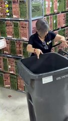 Instituto Estatal Electoral comienza con destrucción de boletas caducas