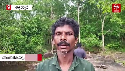 അതിരപ്പിള്ളിയിൽ കാട്ടാന ആക്രമണം; രണ്ട് പേർക്ക് ദാരുണാന്ത്യം