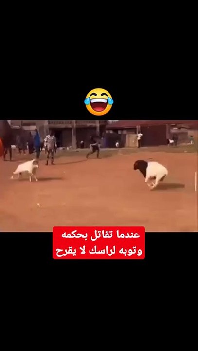 Funny 🤣 video