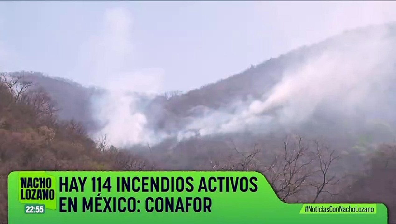 Daniel Noboa ganó la segunda vuelta de las elecciones presidenciales en Ecuador