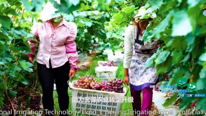 Dayu Water Saving Appears at Beijing Irrigation Expo, Decoding Chinese Brand "the Belt and Road" Sailing Plan