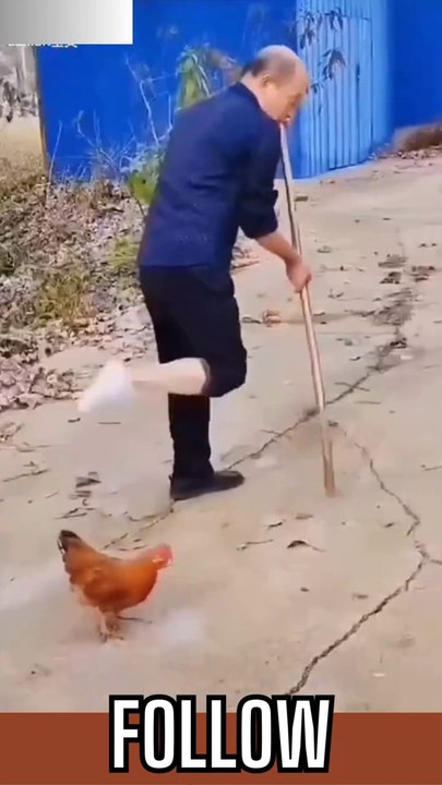 funny video/try not to laugh/hahaha/comedy/fun