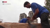 Notre-Dame : coup de projecteur sur les artisans