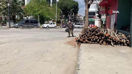 Manisalı esnafın duyarlılığı bir kediyi hayata bağladı