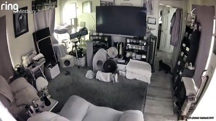 Fuerte sismo sacude el sur de California